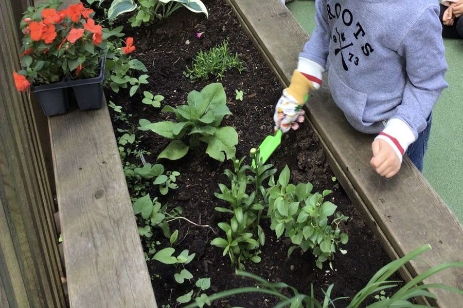 A child digging soil