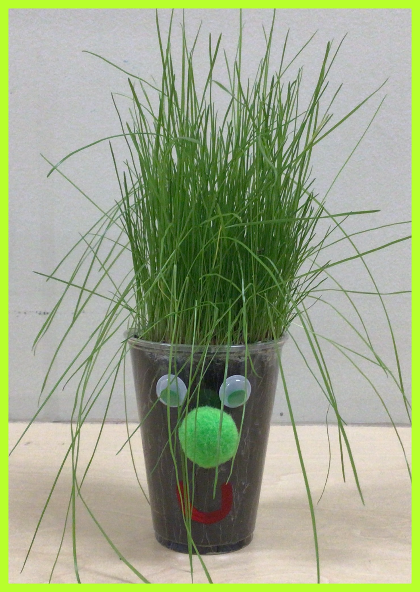 grass head