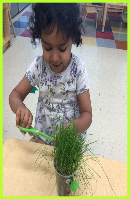 Child under 3 giving a grass head a hair cut