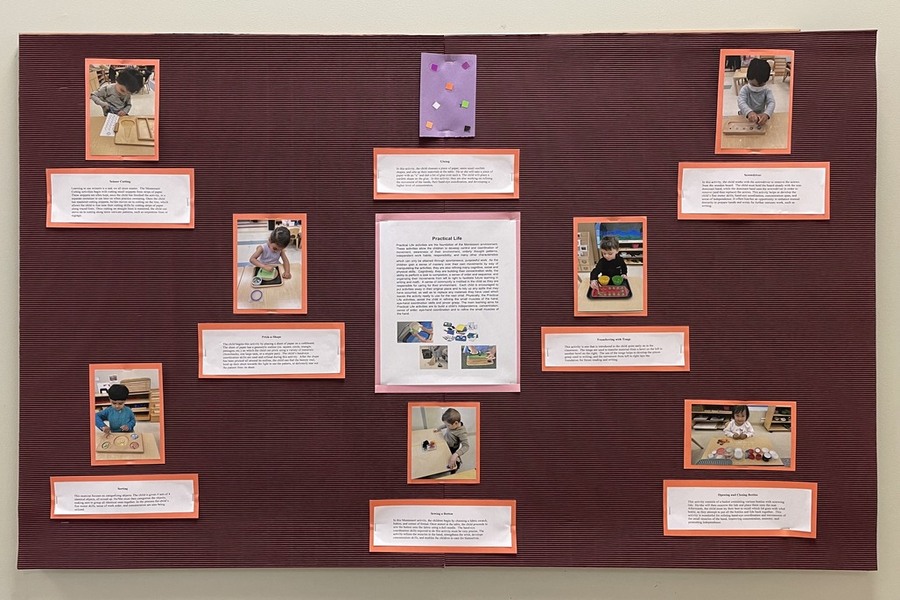 A bulletin board of photos of children working on practical life activities