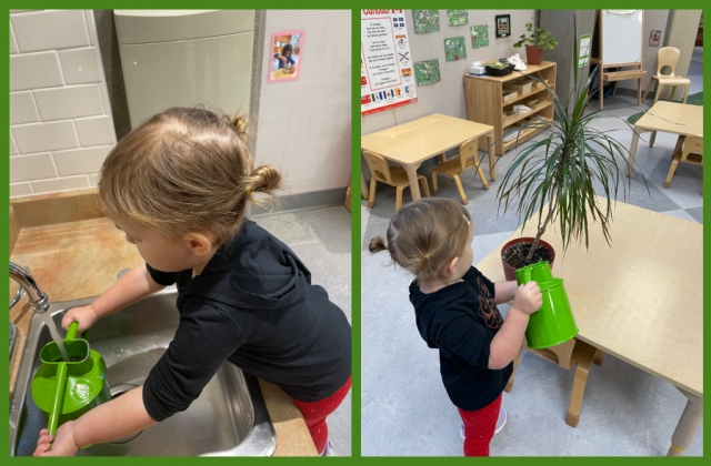 A child filling a watering can and watering a plant