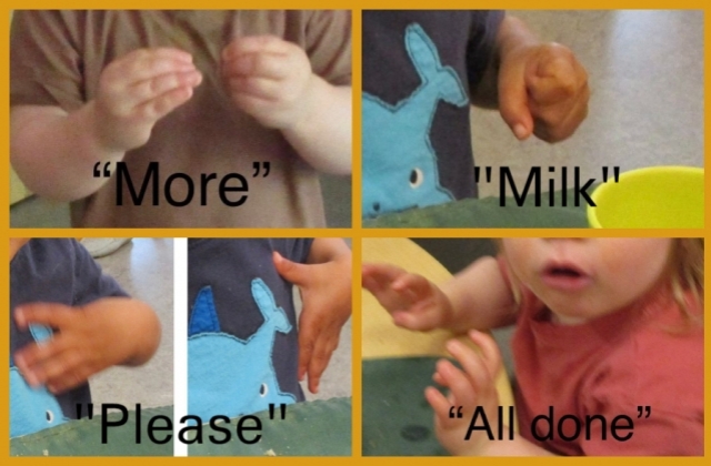 A collage of infants signing 'more', 'milk', 'please', 'all done'