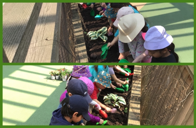 A collage of children digging soil in a planter and pots of flowers nearby