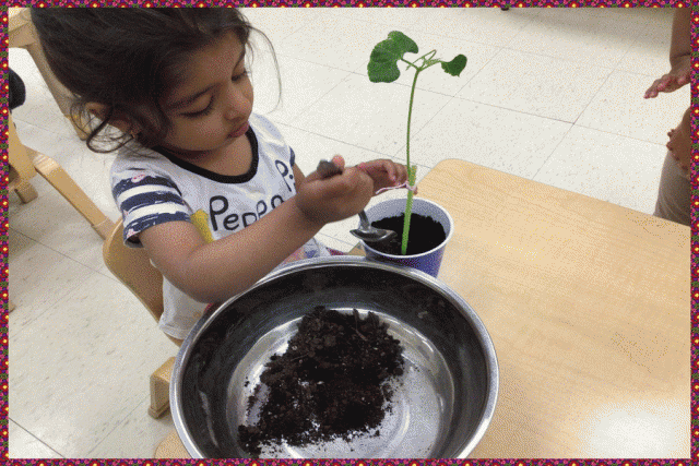 A child scooping soil into a pot with a seedling