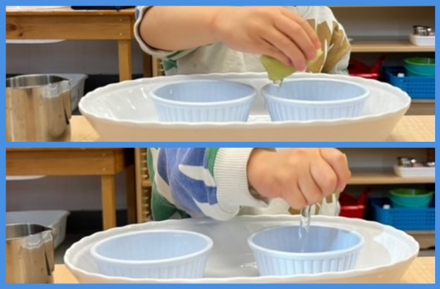 A collage of a child holding and then squeezing water out of a sponge