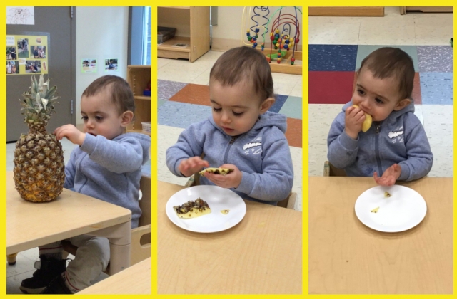 A collage of a child exploring a whole pineapple, a slice, and tasting it