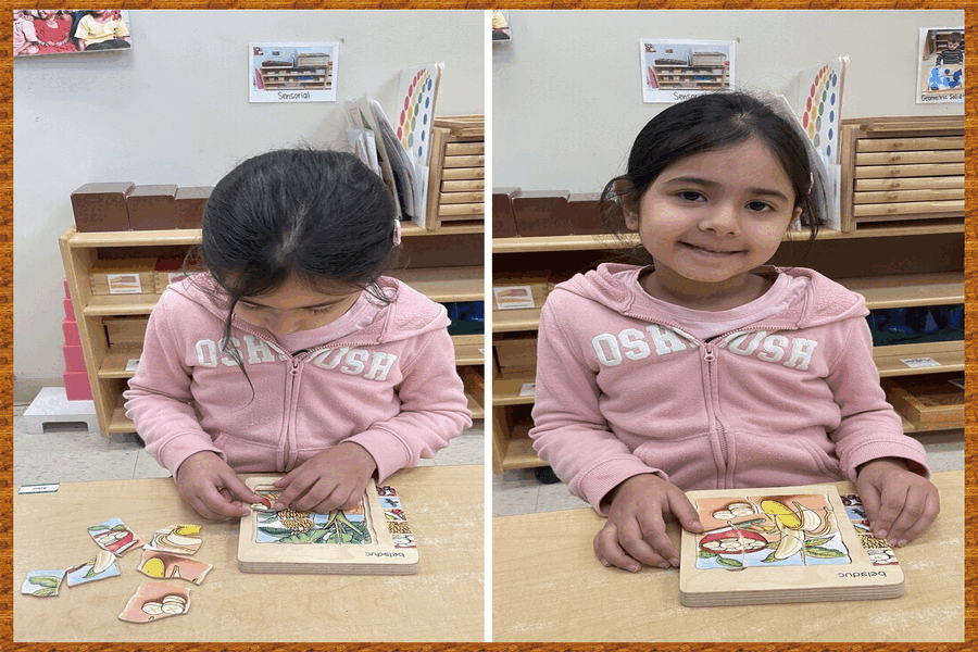 A child working with the life cycle of a banana puzzle