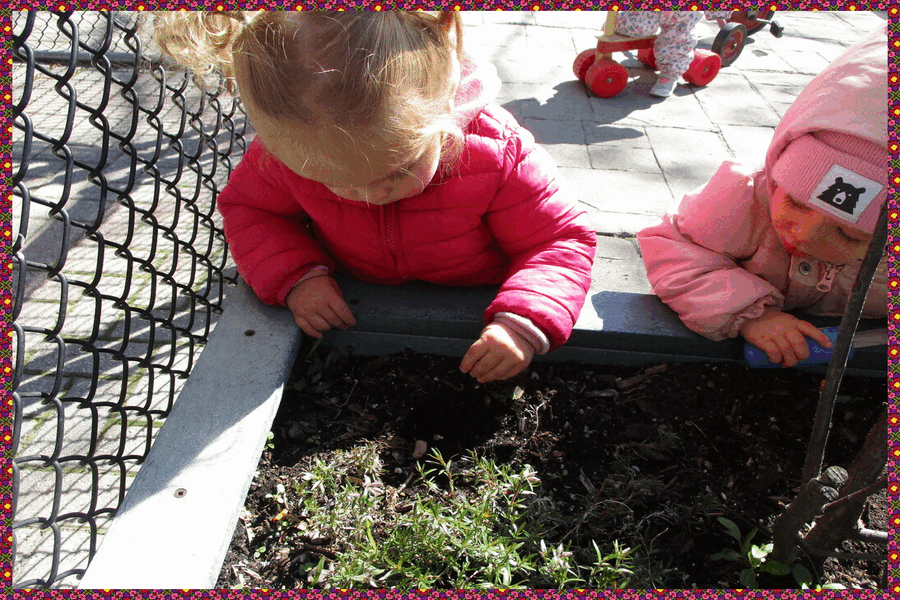 A child sprinkling seeds into soil in a planter