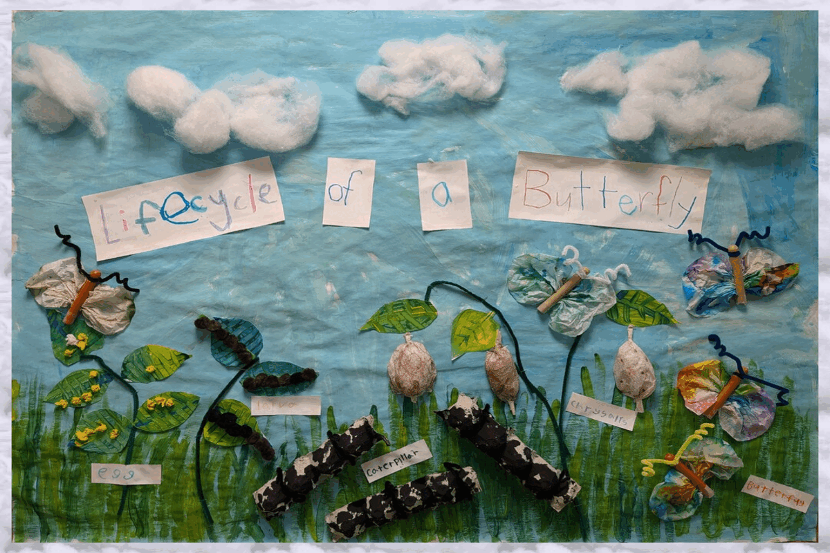 A bulletin board of butterflies, grass, plants, sky, and cloud art