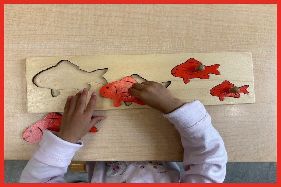 A child placing a fish piece in a puzzle by size