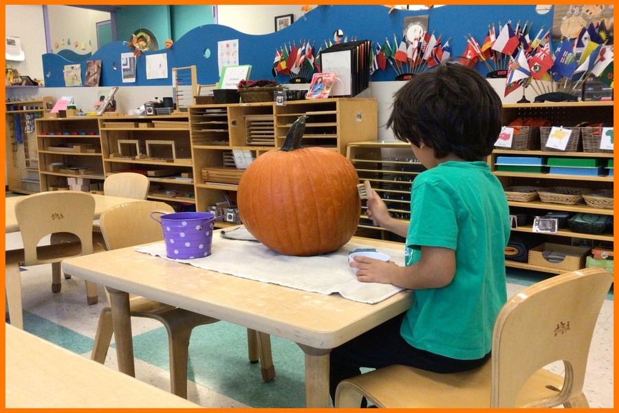 A child cleaning a pumpkin with a brush