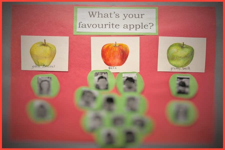 Our completed bulletin board with each child's picture under their favourite type of apple